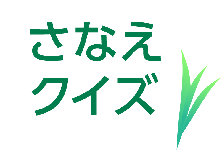 さなえクイズ