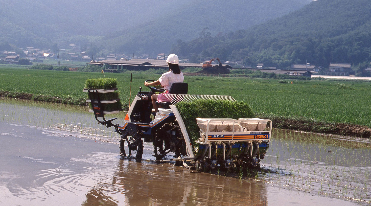 製品アルバムの写真