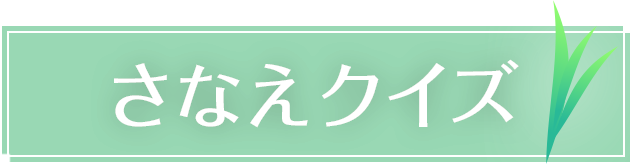 さなえクイズ